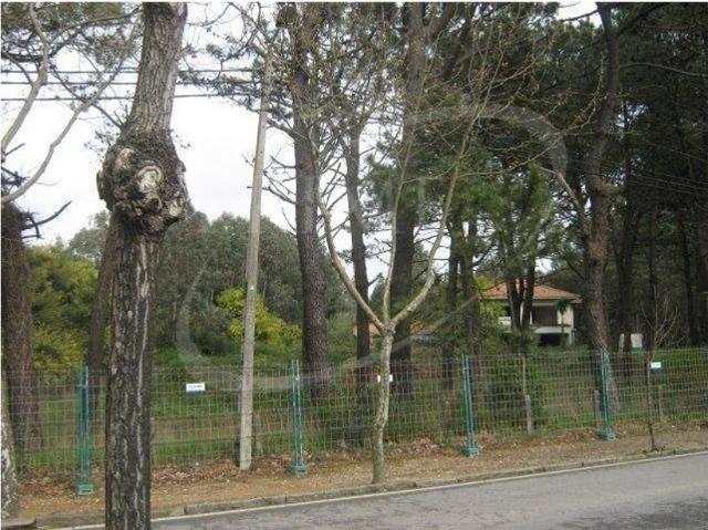 Terreno venda em Vila Nova De Gaia, Porto