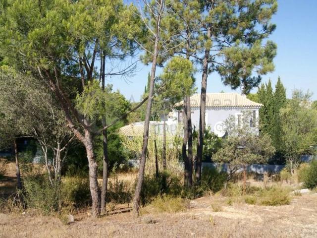 Terreno venda em Almancil, Loulé