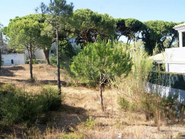 Terreno venda em Loulé, Faro