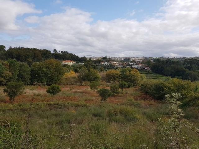 Terreno venda em Orgens, Viseu