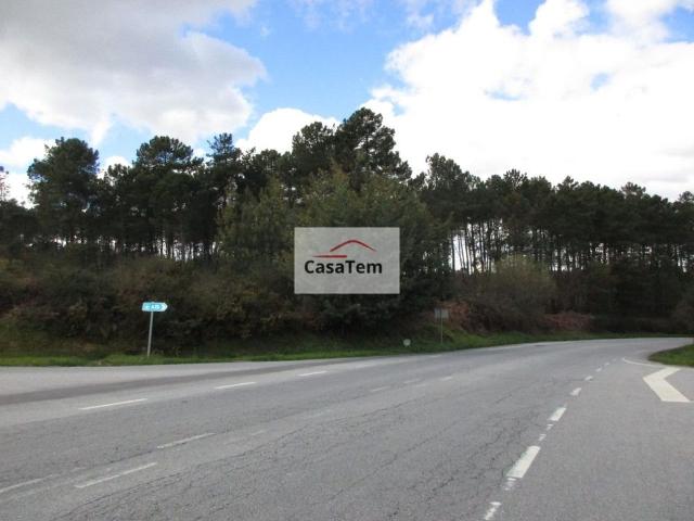 Terreno venda em Viseu