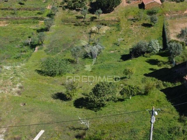 Terreno venda em Aldeia do Mato e Souto, Abrantes