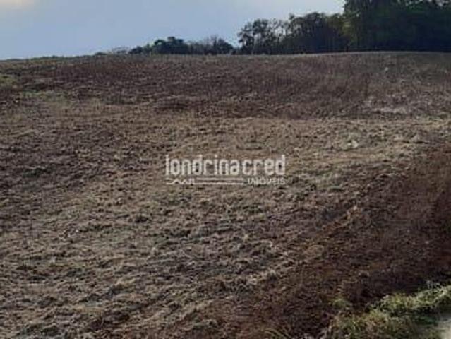 Terreno venda em Região Geográfica Imediata de Irati, Rio Azul