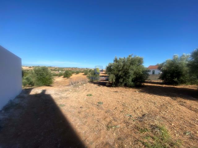 Terreno venda em Santarém