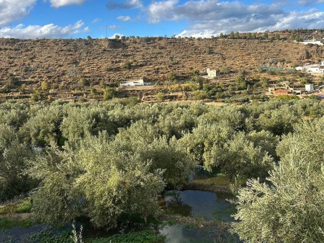 Terreno en venta en Abla, Andalucía