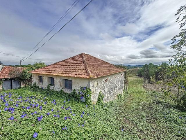 Terreno venda em Alcobaça, Leiria