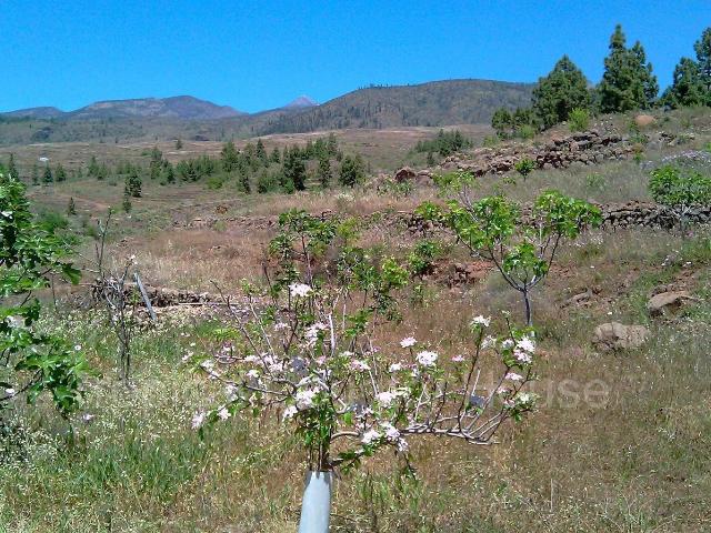 Terreno en venta en Taucho, Adeje