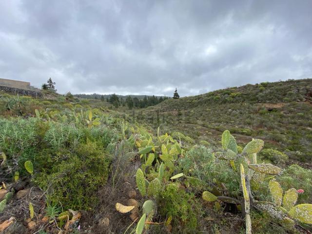 Terreno en venta en La Quinta, Adeje