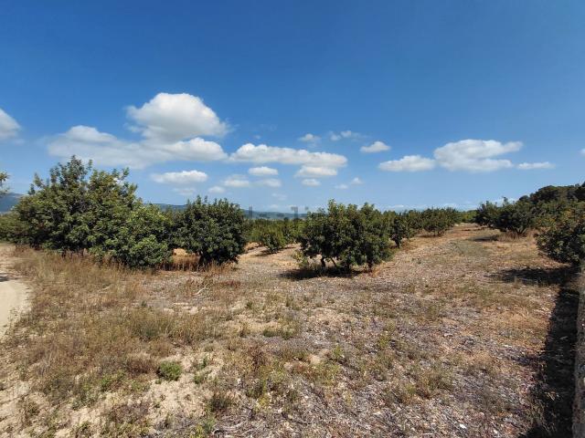 Terreno en venta en l'Alcalatén, Valencia