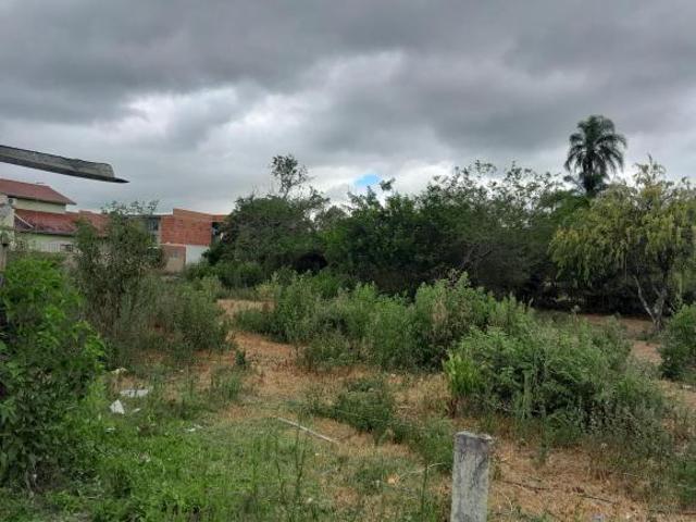 Terreno venda em Região Geográfica Imediata de Montenegro, Região Metropolitana de Porto Alegre