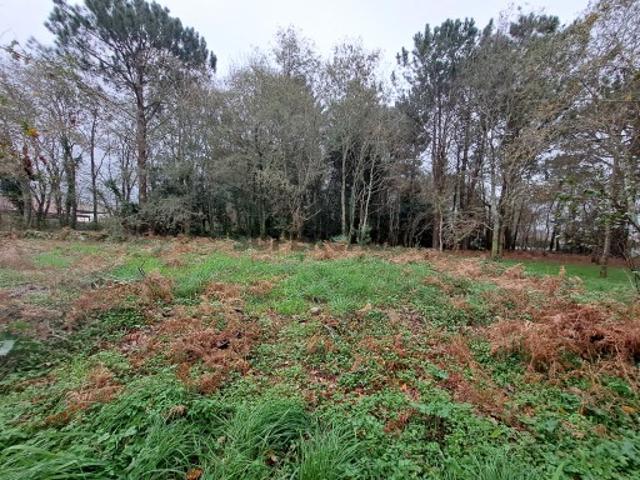 Terreno venda em Viana Do Castelo