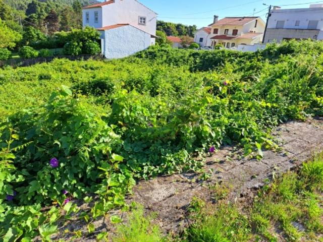 Terreno venda em Viana Do Castelo