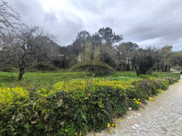 Terreno venda em Viana Do Castelo