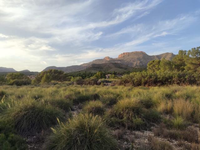 Terreno en venta en l'Alacantí, Valencia
