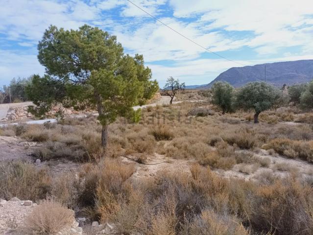 Terreno en venta en l'Alacantí, Valencia