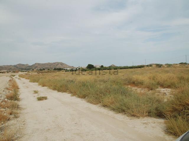 Terreno en venta en l'Alacantí, Valencia