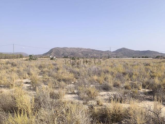 Terreno en venta en l'Alacantí, Valencia