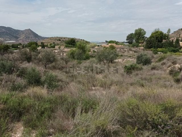 Terreno en venta en l'Alacantí, Valencia