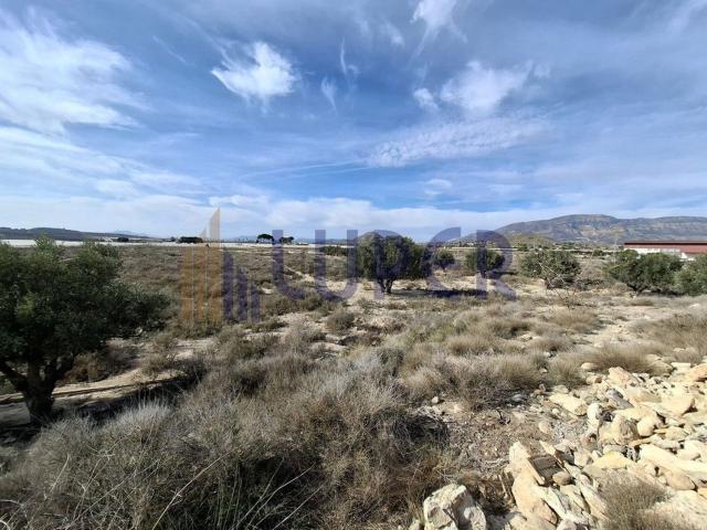 Terreno en venta en l'Alacantí, Valencia