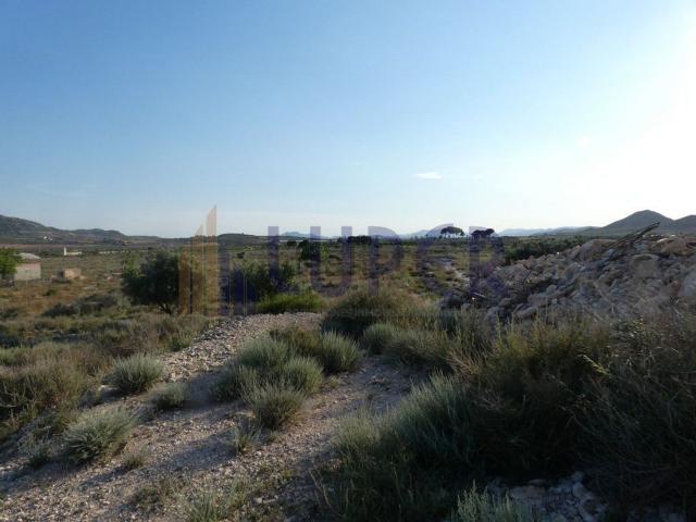 Terreno en venta en l'Alacantí, Valencia