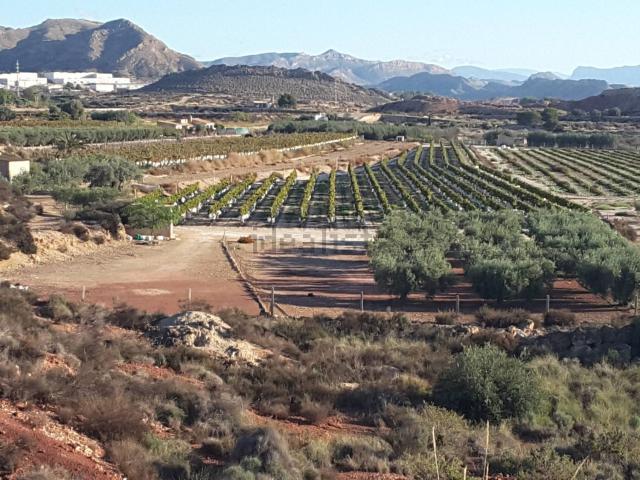 Terreno en venta en l'Alacantí, Valencia