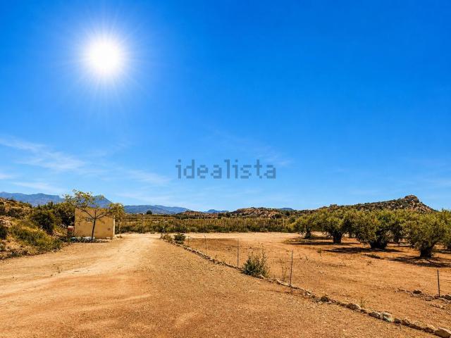 Terreno en venta en l'Alacantí, Valencia