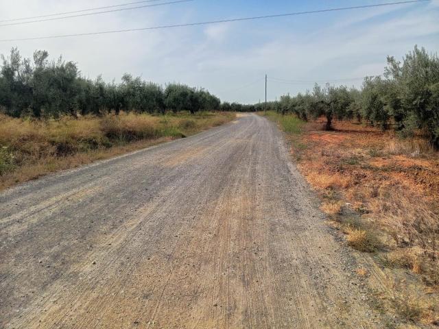 Terreno en venta en Bollullos De La Mitación, Andalucía