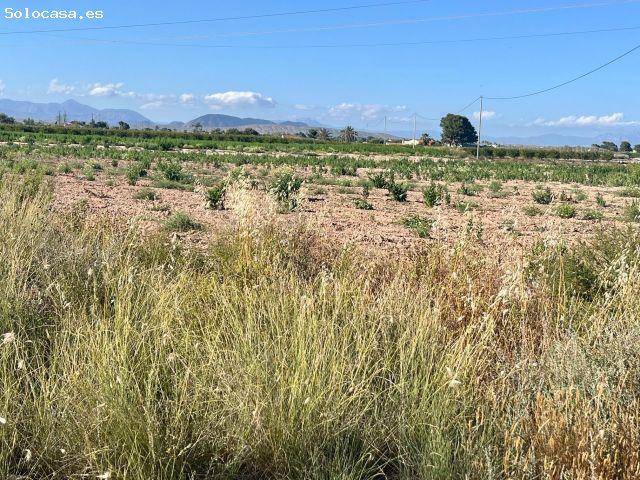 Casa en venta en el Vincle, el Baix Vinalopó