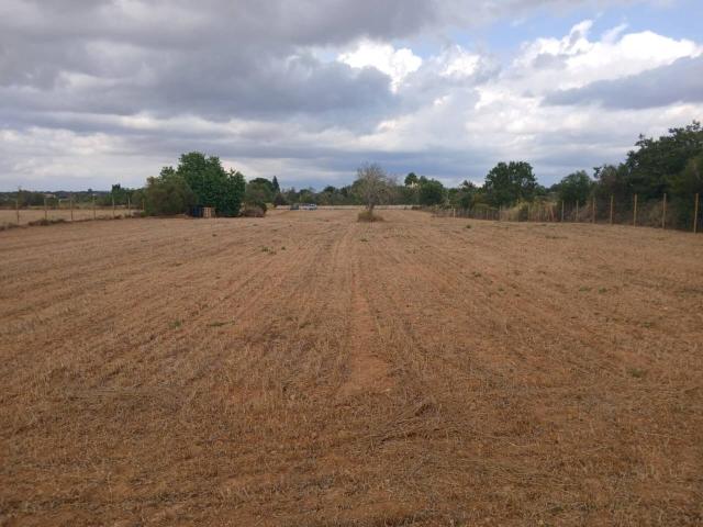 Terreno en venta en Algaida