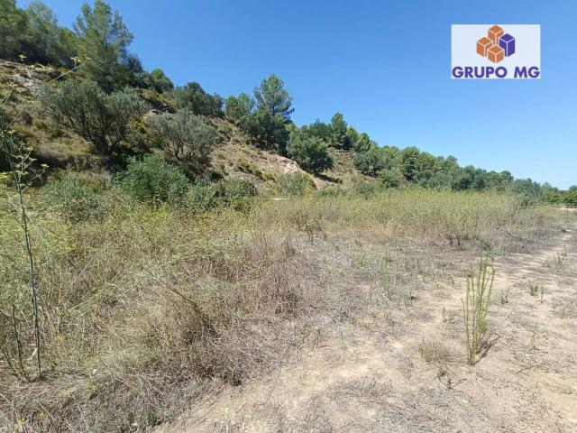 Terreno en venta en La Canal de Navarrés, Valencia