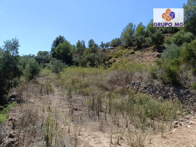 Terreno en venta en La Canal de Navarrés, Valencia