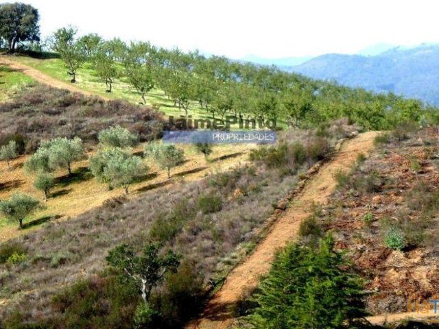Terreno venda em Alfândega Da Fé, Bragança
