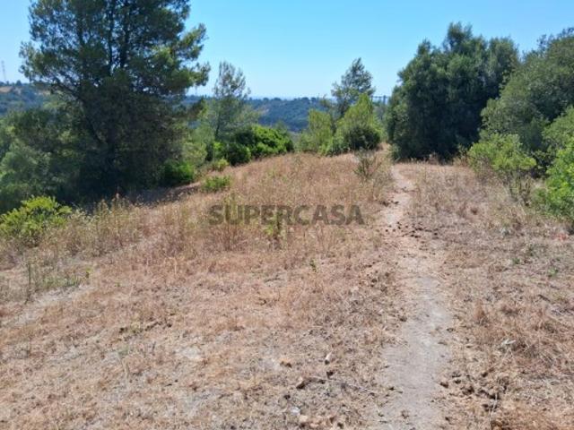 Terreno venda em Azambuja, Lisboa