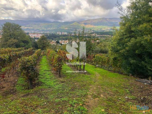 Terreno venda em Vila Real
