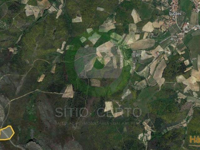 Terreno venda em Mirandela, Bragança