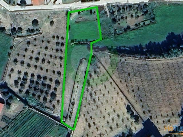Terreno venda em Mirandela, Bragança