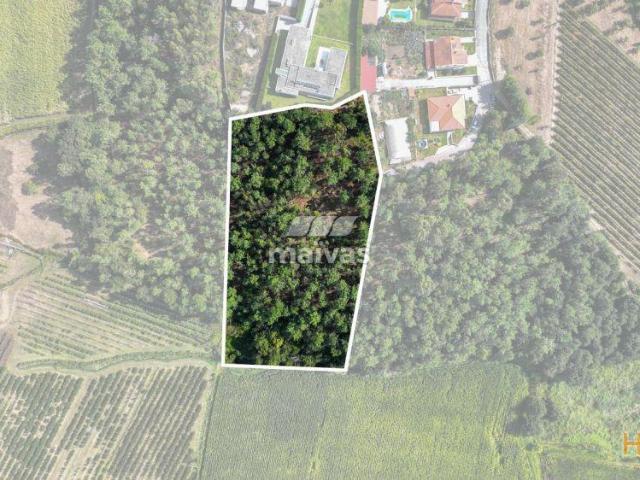 Terreno venda em Vila Verde, Braga