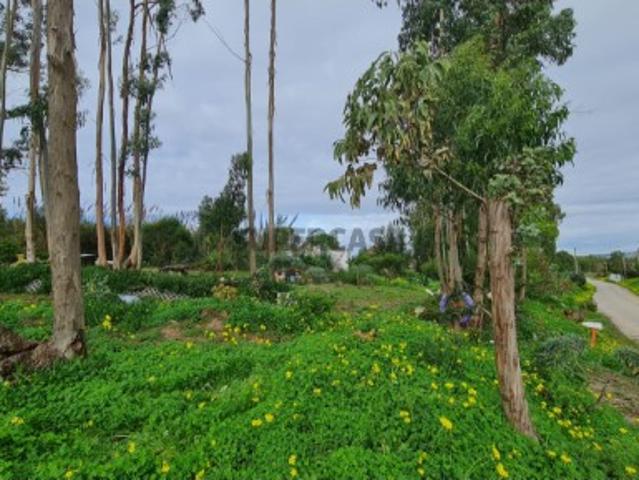 Terreno venda em Casal das Paradas, Torres Vedras