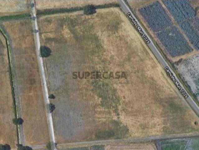 Terreno venda em Bairro do Miranda, Montijo