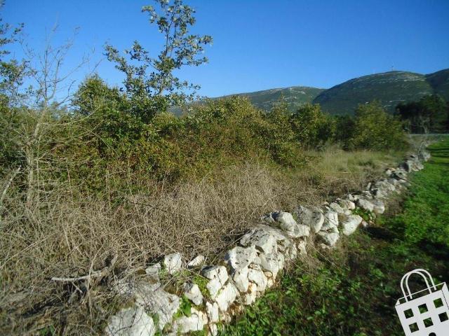 Terreno venda em Casais de Santa Teresa, Alcobaça
