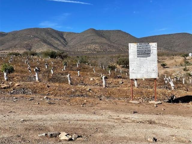 Terreno Agrícola 47 Hás Illapel Sin Comisión de Corretaje