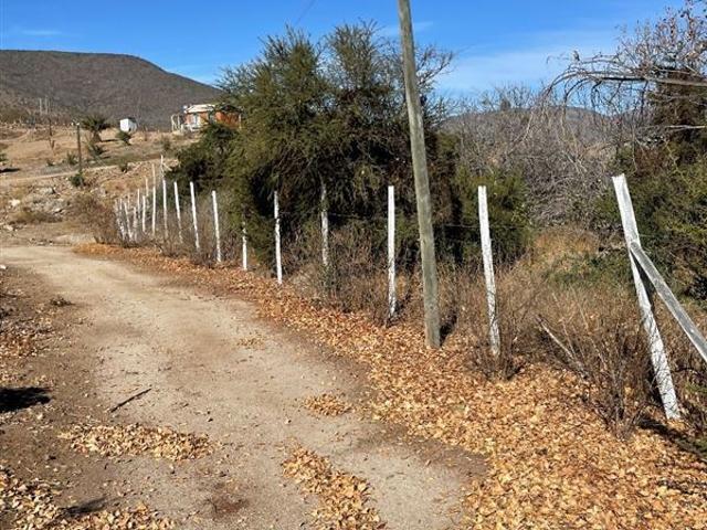 Terreno Agrícola 47 Hás Illapel Sin Comisión de Corretaje