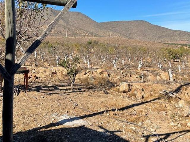 Terreno Agrícola 47 Hás Illapel Sin Comisión de Corretaje
