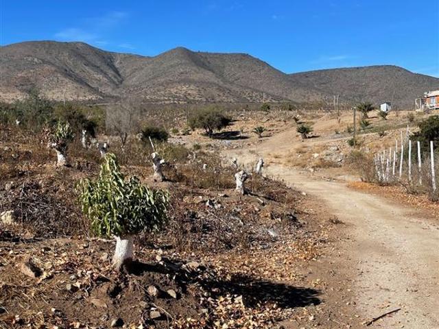 Terreno Agrícola 47 Hás Illapel Sin Comisión de Corretaje