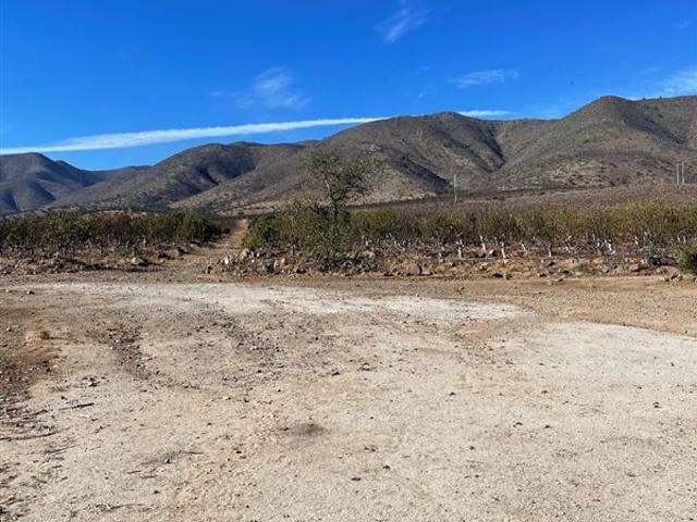 Terreno Agrícola 47 Hás Illapel Sin Comisión de Corretaje