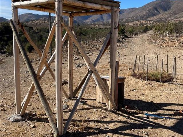 Terreno Agrícola 47 Hás Illapel Sin Comisión de Corretaje
