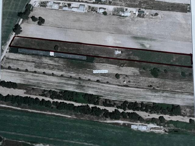 Terreno venda em Salvaterra De Magos, Santarém