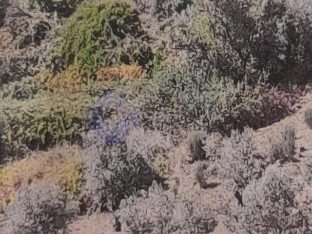 Terreno venda em Castelo Branco, Aldeia Nova Do Cabo