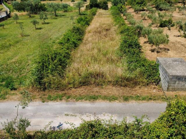 Terreno venda em Castelo Branco, Cumeada