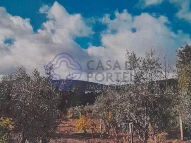 Terreno venda em Castelo Branco, Aldeia Nova Do Cabo